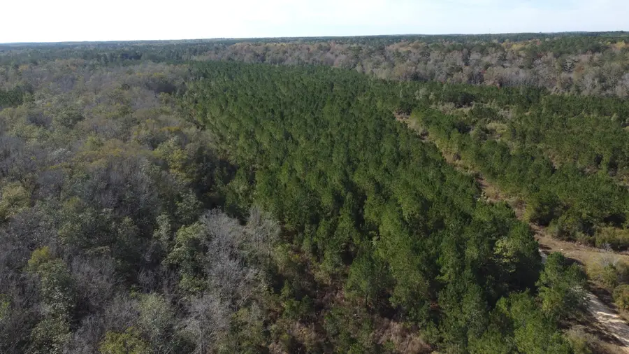 00 Stanford Lake Rd., Poplarville, MS 39470 - Image #3