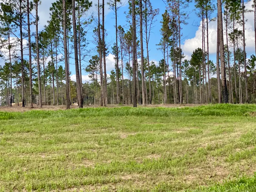 Lot 7 Mcbriar, 5.71 Ac, Purvis, MS 39475 - Image #2
