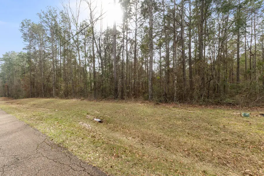 0 East Bay Dr., Lumberton, MS 39455 - Image #3