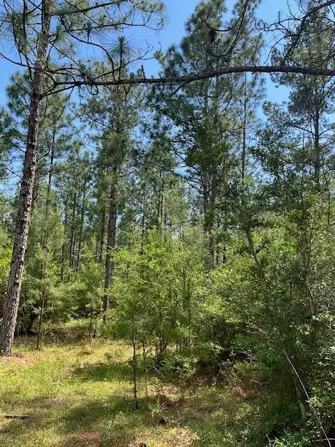 001 Hwy 13, Lumberton, MS 39455 - Image #2