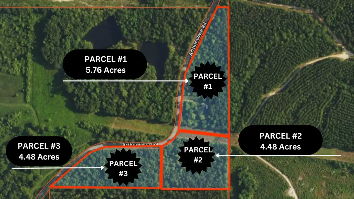 127 Arthur Lowe Rd-parcel 3, Lumberton, MS 39455 - Image #1