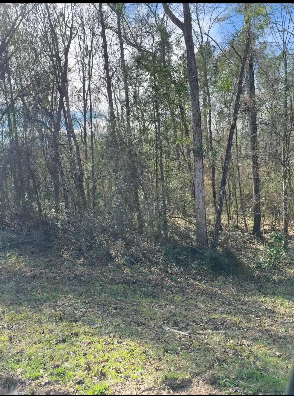 0 Village Loop, Petal, MS 39465 - Image #1