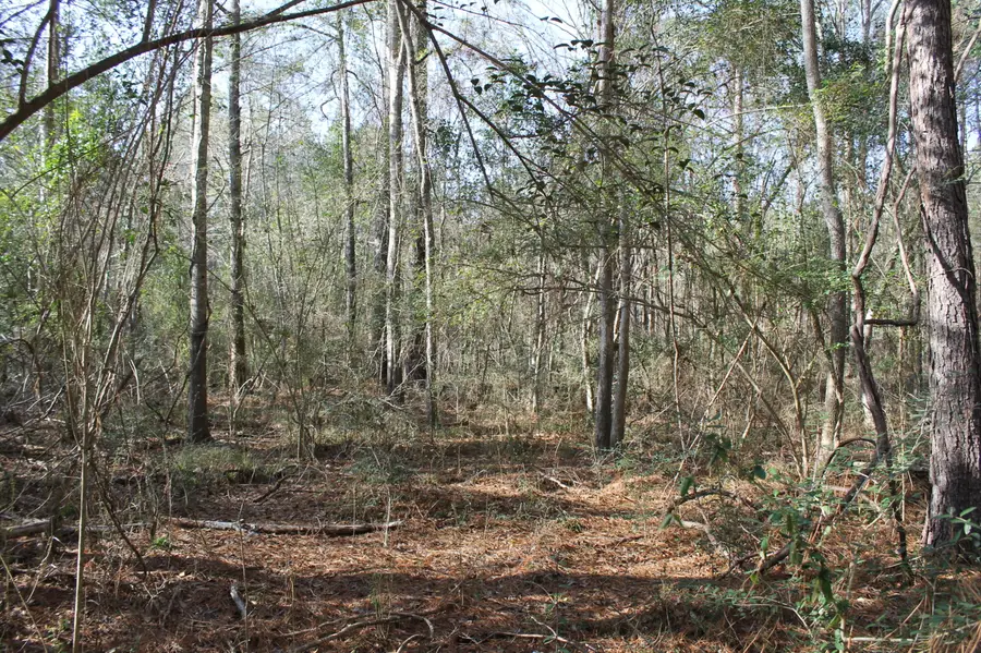 TBD Riverbend Road, Columbia, MS 39429 - Image #2