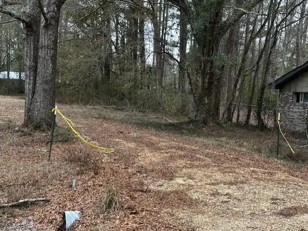 205 Wiggins Rd., Columbia, MS 39429