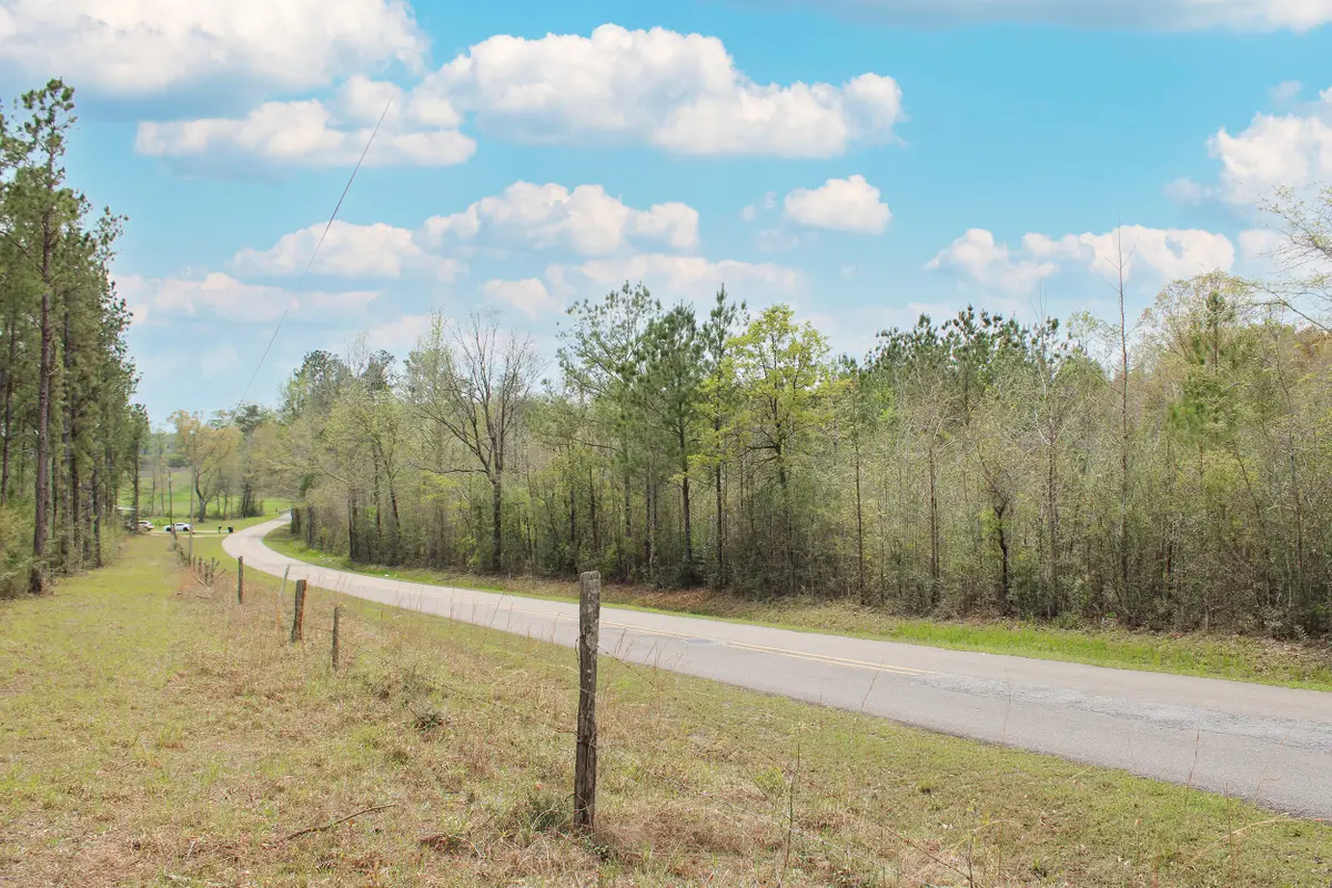 000 Burger Rd., Petal, MS 39465 - Image #1