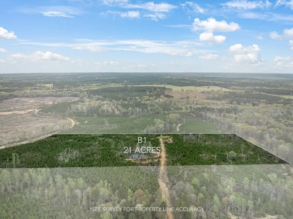 Parcel 1 Stephens Cemetery Rd., Silver Creek, MS 39663 - Image #1