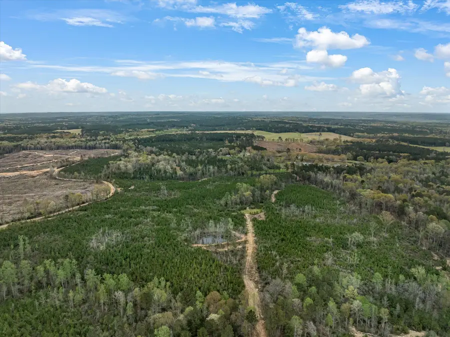 Parcel 1 Stephens Cemetery Rd., Silver Creek, MS 39663 - Image #2