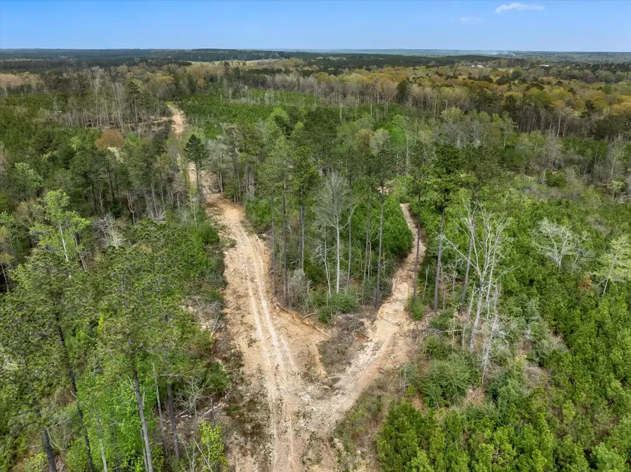 Parcel 3 Stephens Cemetery Rd., Silver Creek, MS 39663 - Image #2