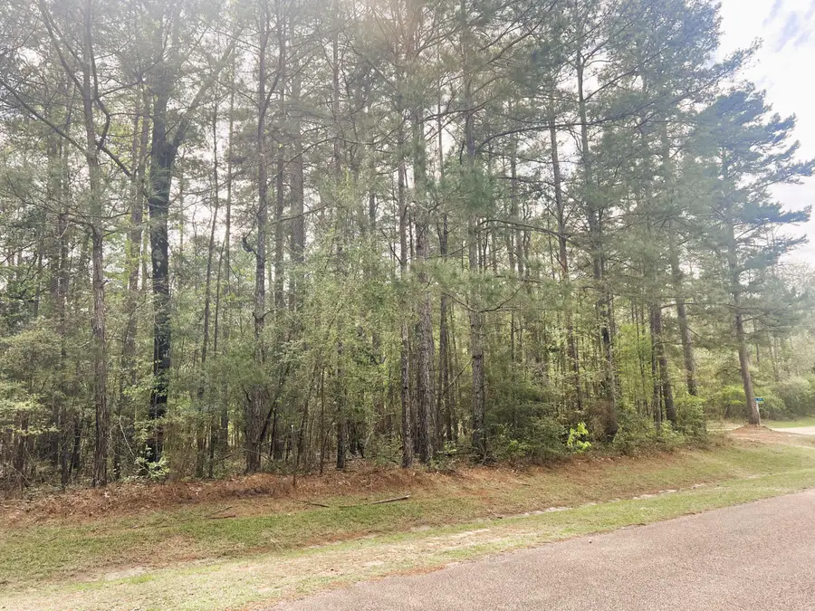 Lot D-7 Pioneer Circle, Lumberton, MS 39455 - Image #2