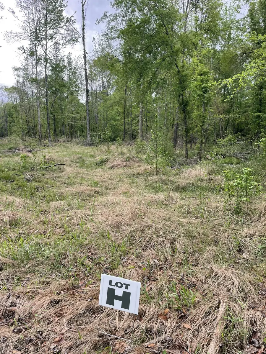 Lot H Easement Off Of River Bend Rd, Columbia, MS 39429 - Image #2