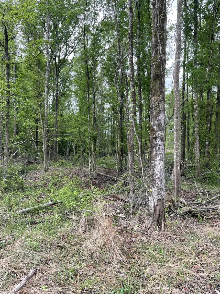 Lot H Easement Off Of River Bend Rd, Columbia, MS 39429 - Image #3
