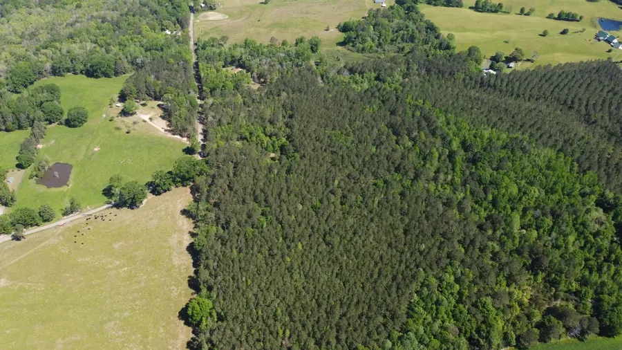 0 Pete Field Rd., Sumrall, MS 39482 - #3