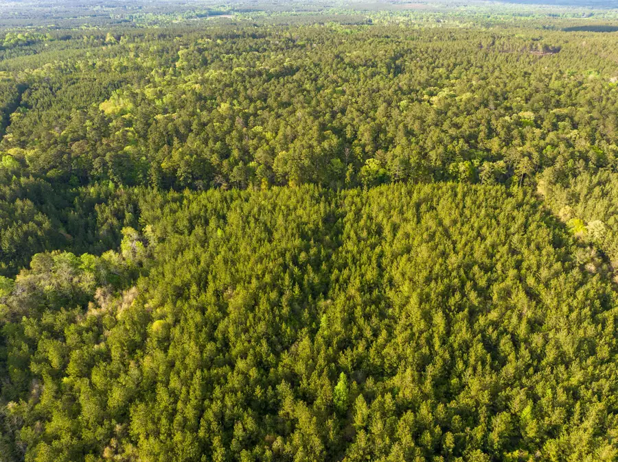 000 Breakfield, Columbia, MS 39429 - Image #2