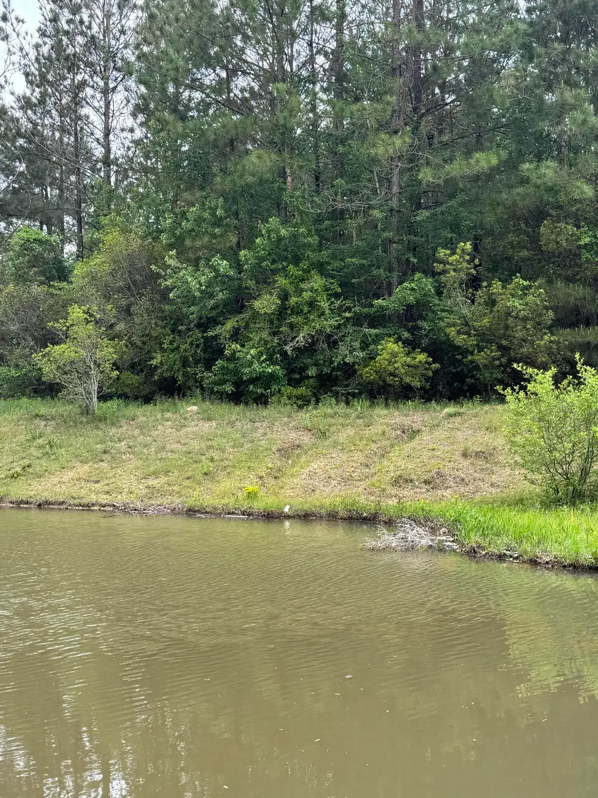 40 Jitterbug Bend, Lumberton, MS 39455 - Image #1