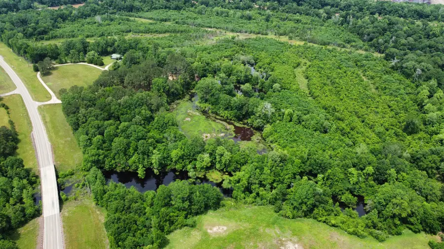 0 Ms-29, New Augusta, MS 39462 - Image #2