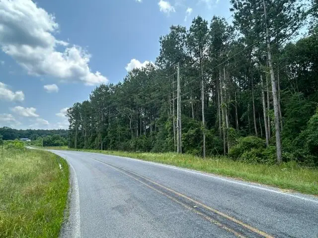 Parcel 1 George Boutwell Rd., Ovett, MS 39464 - #1