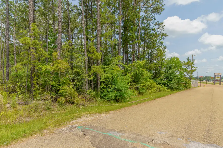 00 Venus Street, Collins, MS 39428 - Image #3