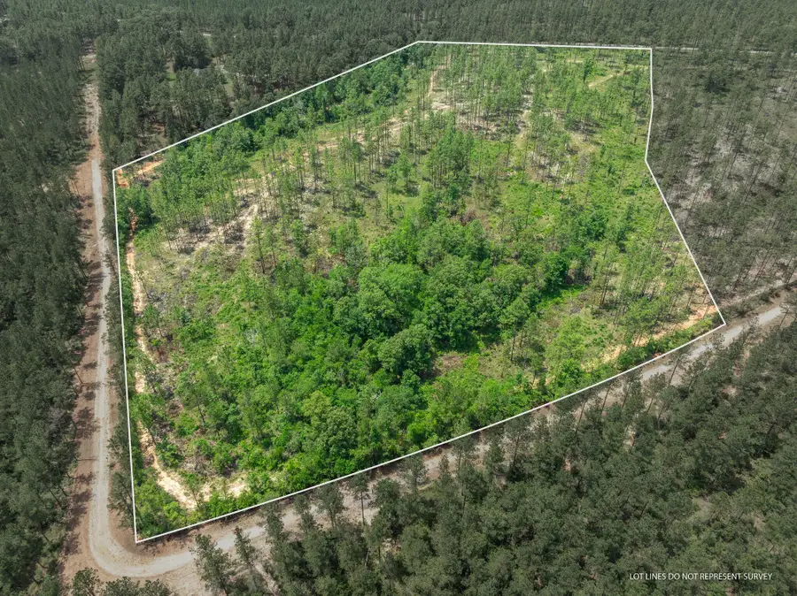 15.84 Acre Crown Zellerback Rd., Lumberton, MS 39455 - Image #2