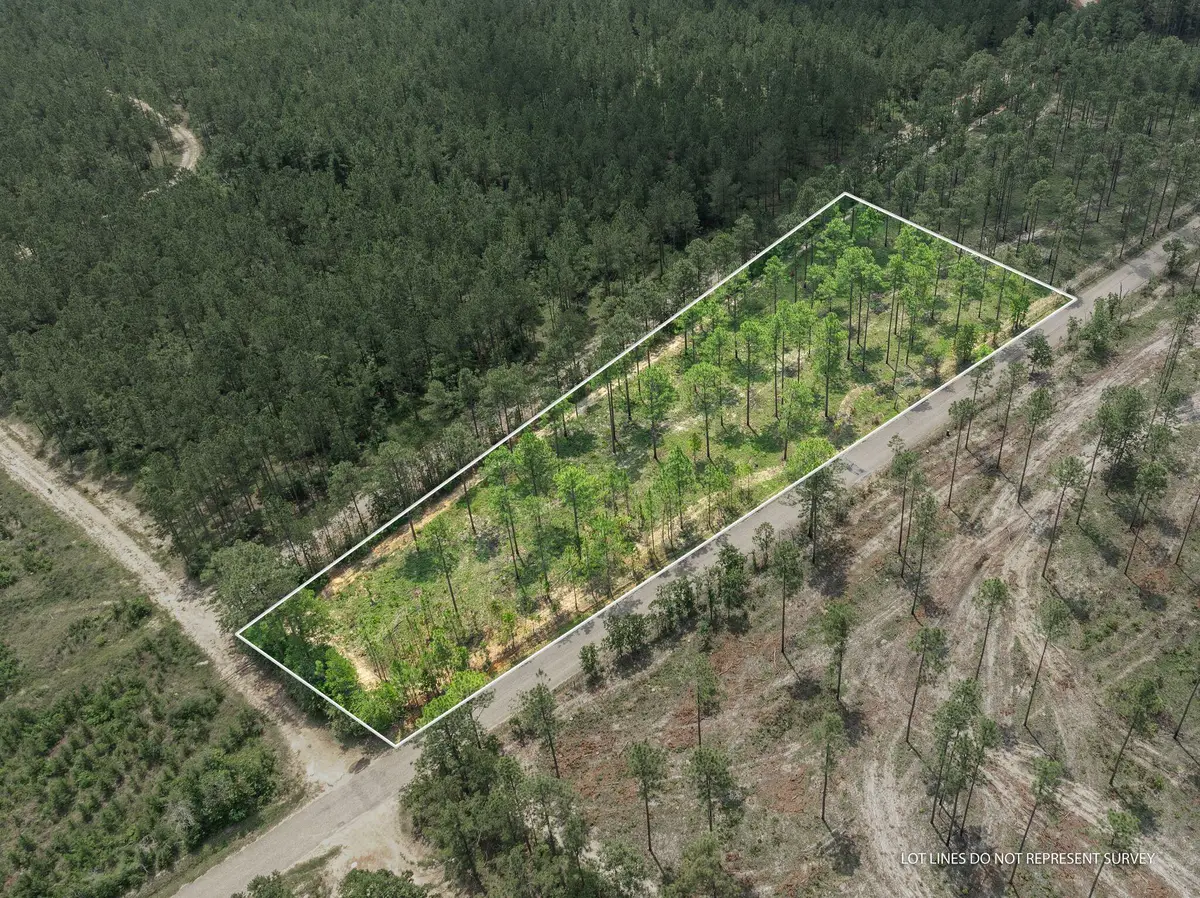 3 Acres Courtney Rd., Lumberton, MS 39455 - Image #1