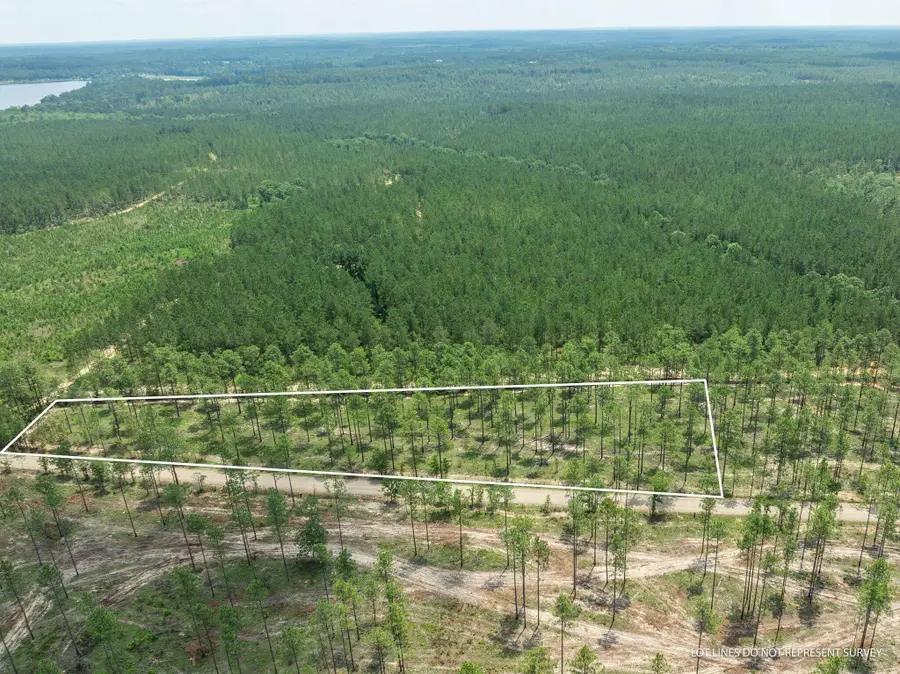 3 Acres Courtney Rd., Lumberton, MS 39455 - Image #2