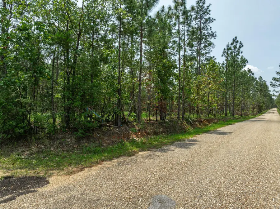 3 Acres Courtney Rd., Lumberton, MS 39455 - Image #3