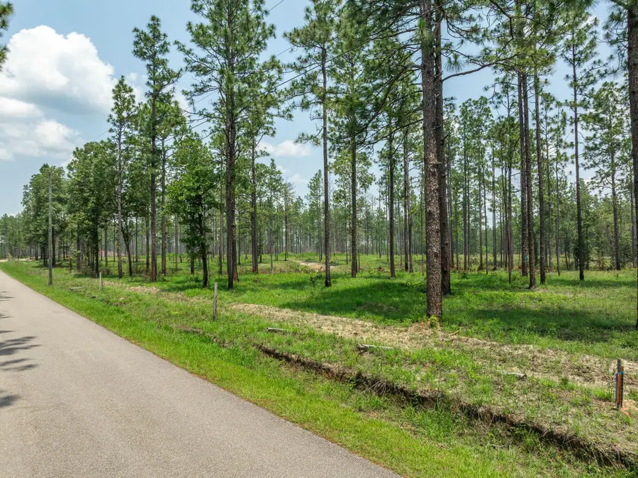 6 Acre Crown Zellerback Rd., Lumberton, MS 39455 - Image #3
