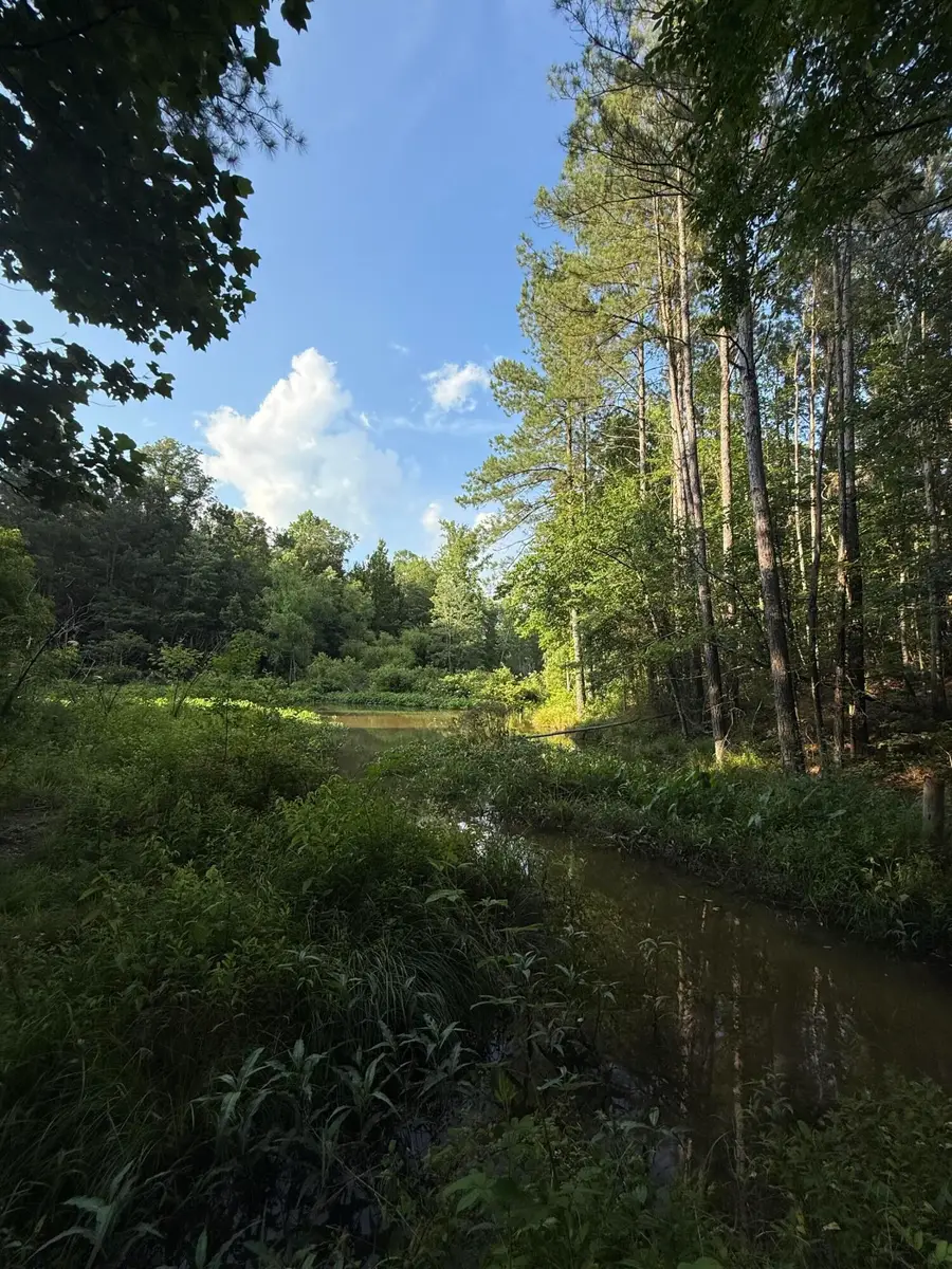 40 +/- Acres Hwy 35, Mount Olive, MS 39119 - Image #3