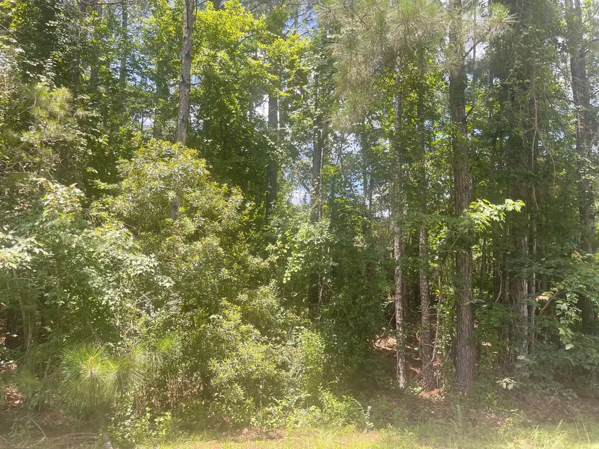Lot 10 Courtland Dr., Hattiesburg, MS 39402 - Image #1