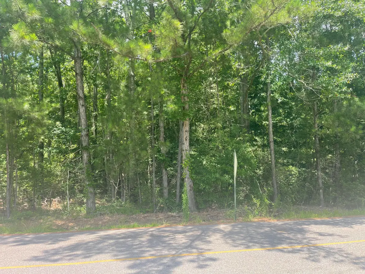 Lot 106 Woodville Trace Trail, Hattiesburg, MS 39402 - Image #1