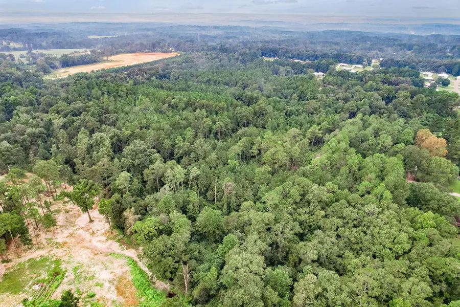 0 Bounds Ln., Hattiesburg, MS 39402 - Image #2