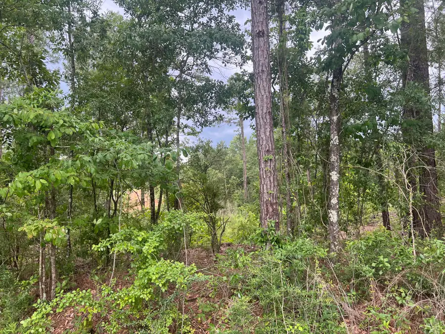 #7 Lawler Rd., Lumberton, MS 39455 - Image #2