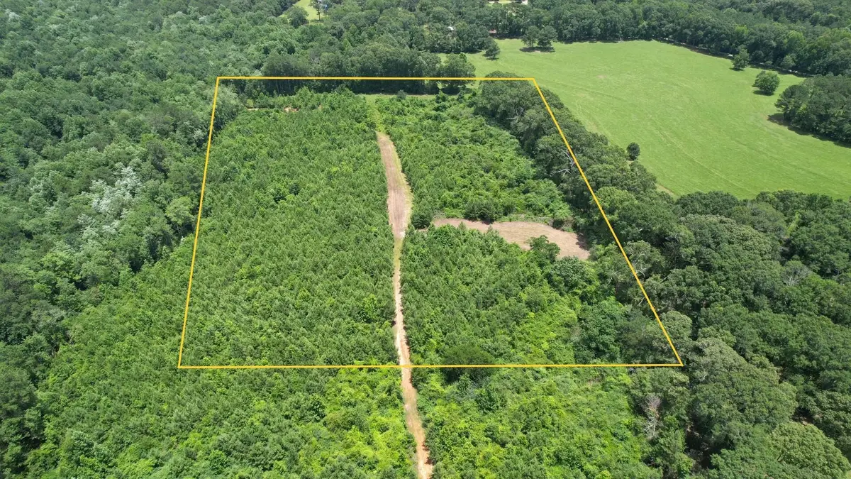 0 Pouncey, Sumrall, MS 39482 - #1