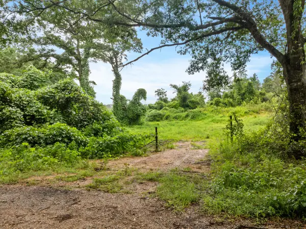 00 Clem School Rd., Prentiss, MS 39474