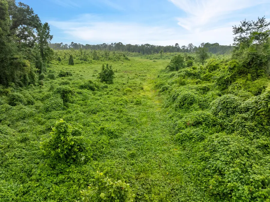 00 Clem School Rd., Prentiss, MS 39474 - Image #2