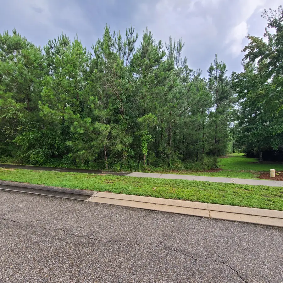 38 S Of, Hattiesburg, MS 39402 - Image #2