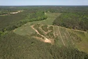 20 Spring Hill Ln., Collins, MS 39428 - Image #2