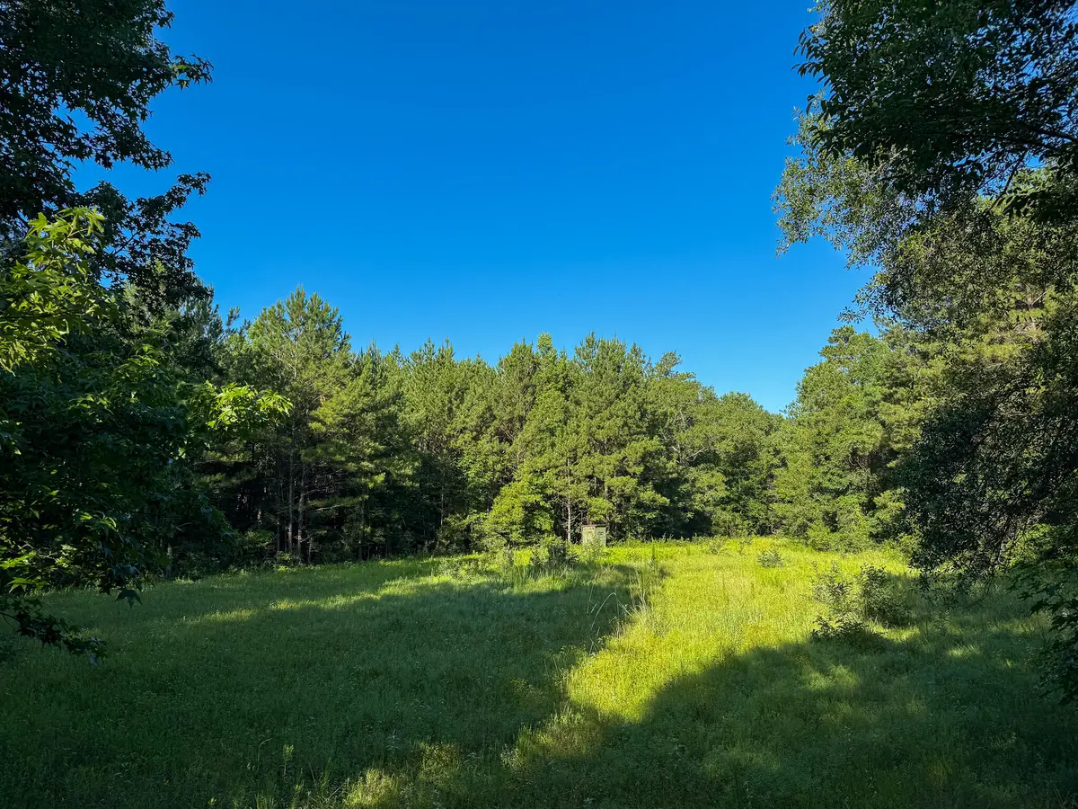 275 +/- J M Burge Rd., Hattiesburg, MS 39402 - #1