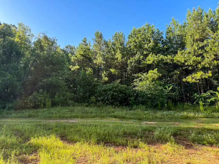 275 +/- J M Burge Rd., Hattiesburg, MS 39402 - #2