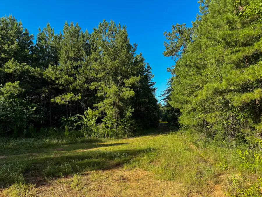 275 +/- J M Burge Rd., Hattiesburg, MS 39402 - #3