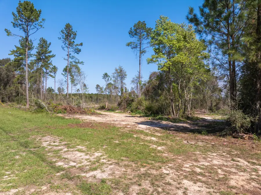 16.27 +/- Acres Shirley Sanford Rd., Seminary, MS 39429 - #2