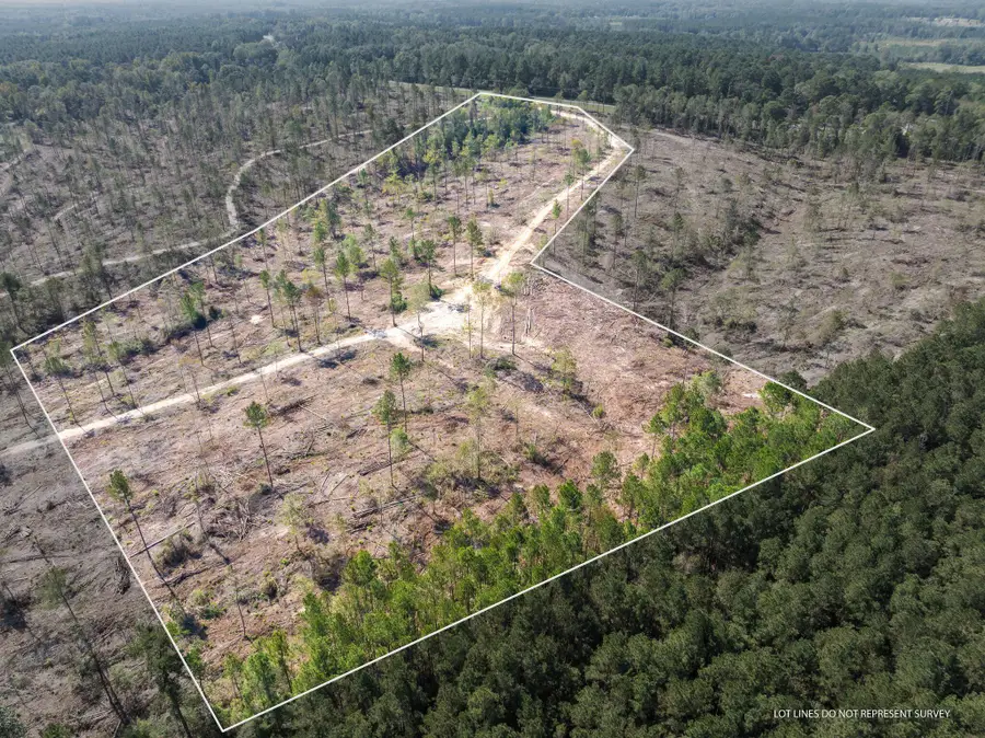 16.27 +/- Acres Shirley Sanford Rd., Seminary, MS 39429 - #3
