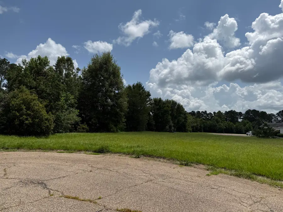 0 Bellewood Park, Columbia, MS 39429 - Image #3