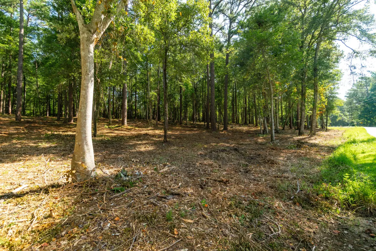 0 Magellan Rd., Hattiesburg, MS 39402 - Image #1