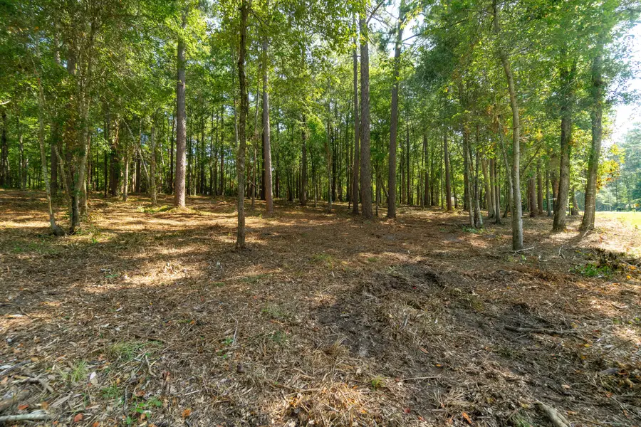 0 Magellan Rd., Hattiesburg, MS 39402 - Image #2