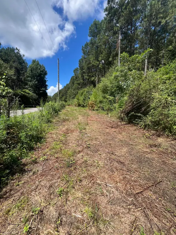 234 Fleet Holmes Rd., Kokomo, MS 39483