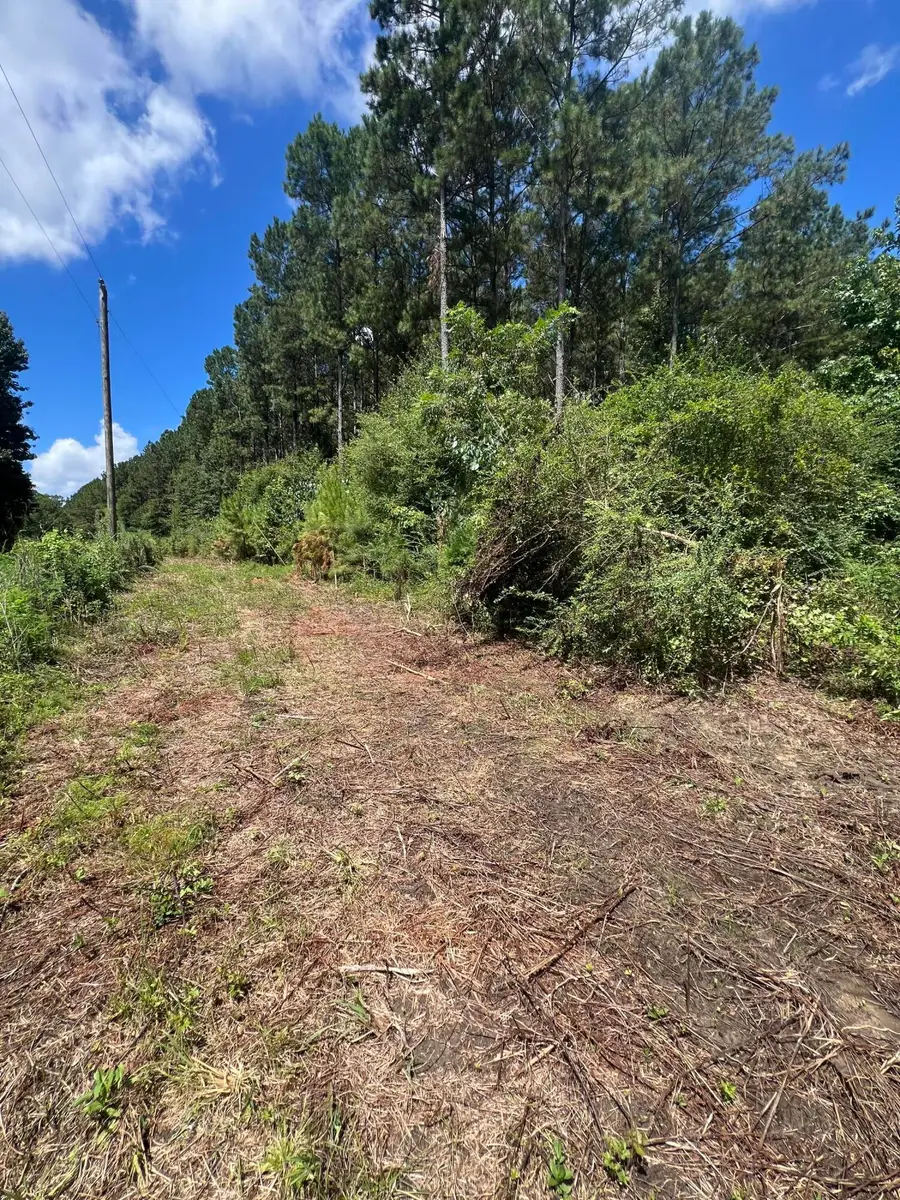 234 Fleet Holmes Rd., Kokomo, MS 39483 - Image #3