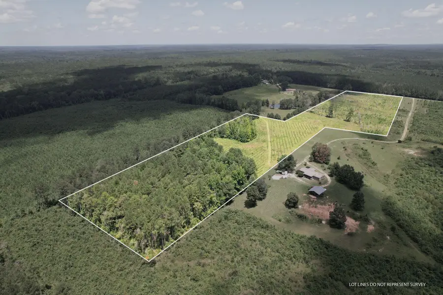 00 Scr 504, Louin, MS 39338 - Image #2