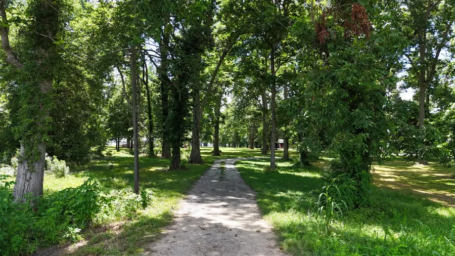 6 Acres Mol Eagle Lake Ms, Vicksburg, MS 39183 - Image #2