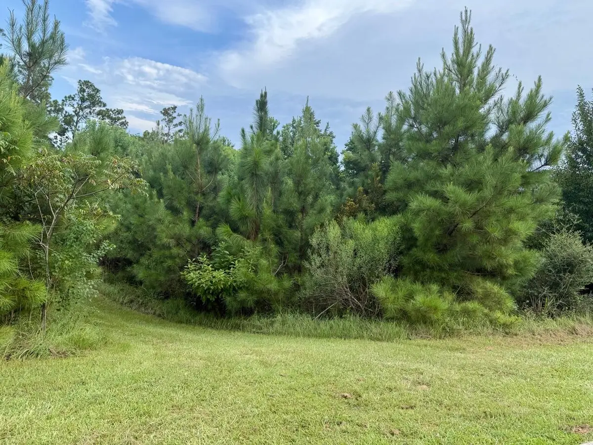 Lot A-7 Gleneagles Dr., Hattiesburg, MS 39402 - Image #1