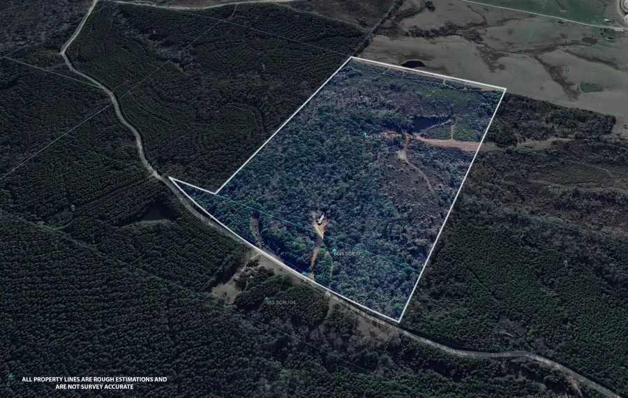 518 Scr 104, Mize, MS 39116 - Image #2